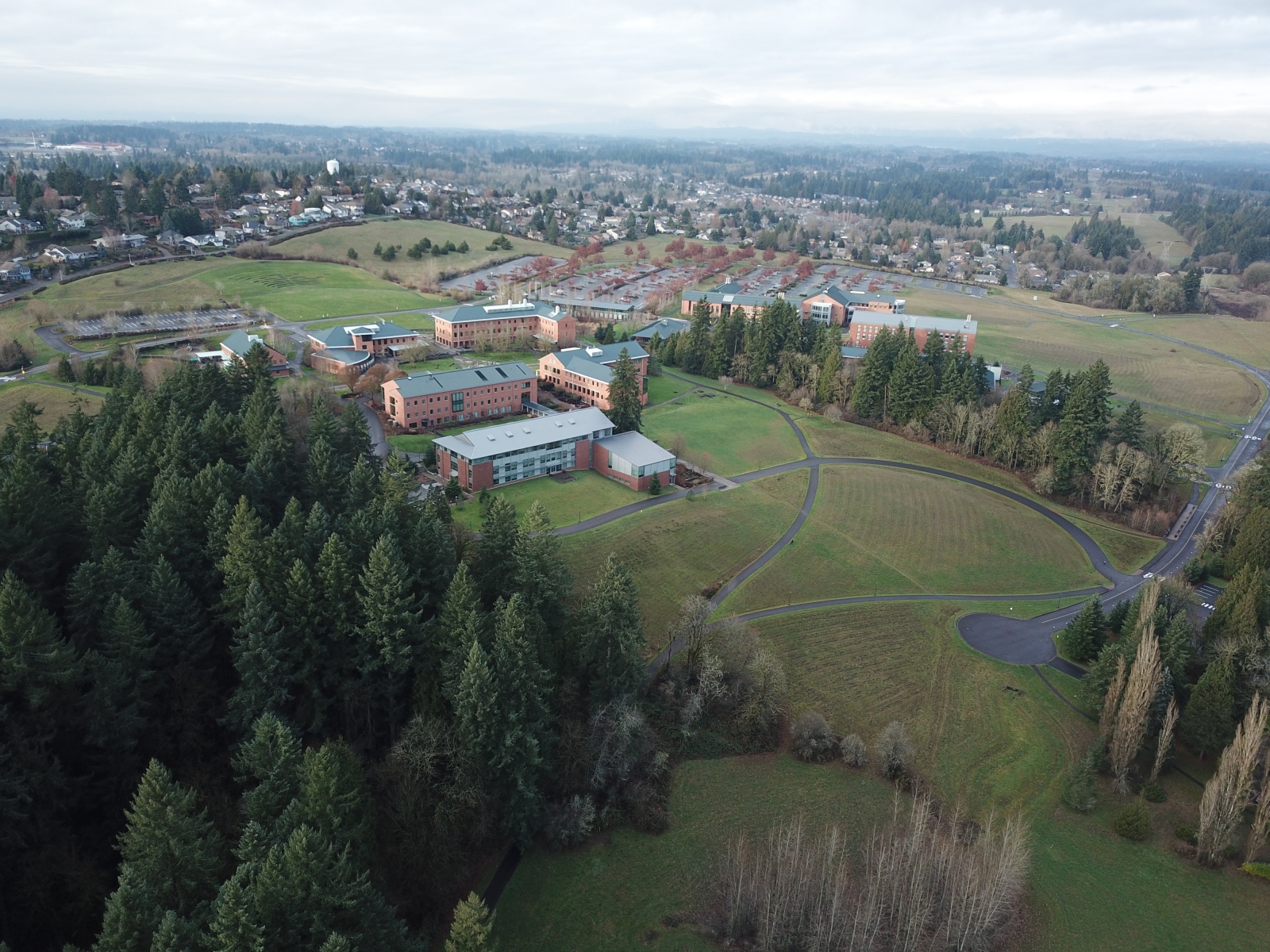 WSU_DJI_0240.JPG