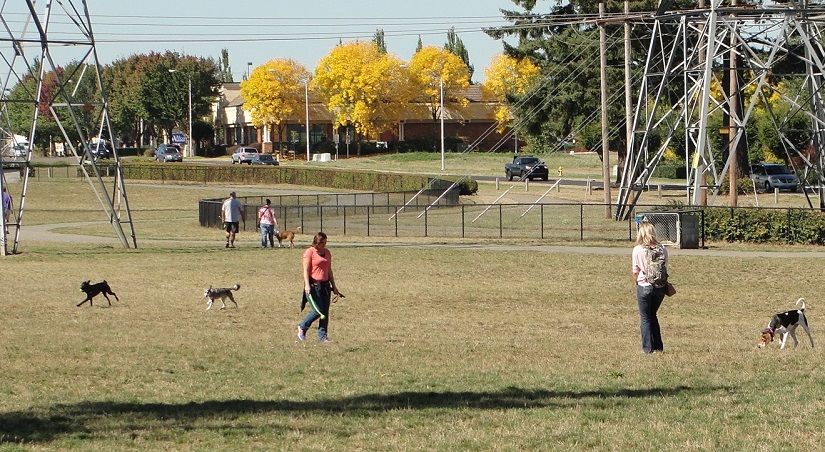 Dakota Memorial Off-Leash Area at Pacific Community Park.