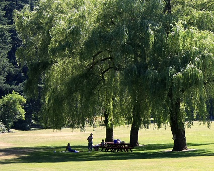 Lewisville Regional Park.