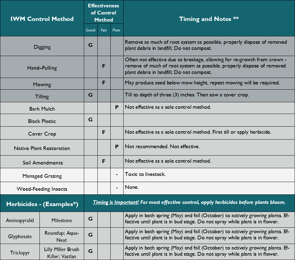 Chart for controlling buffalobur