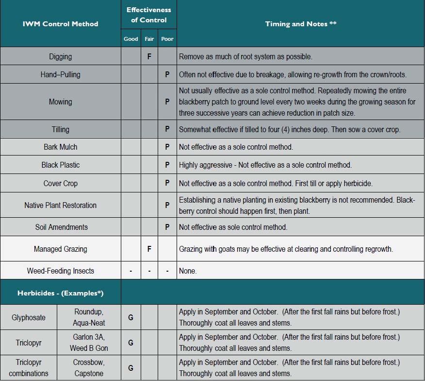 Chart for controlling blackberries