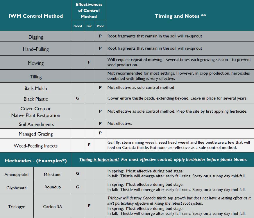 Chart for controlling Canada thistle