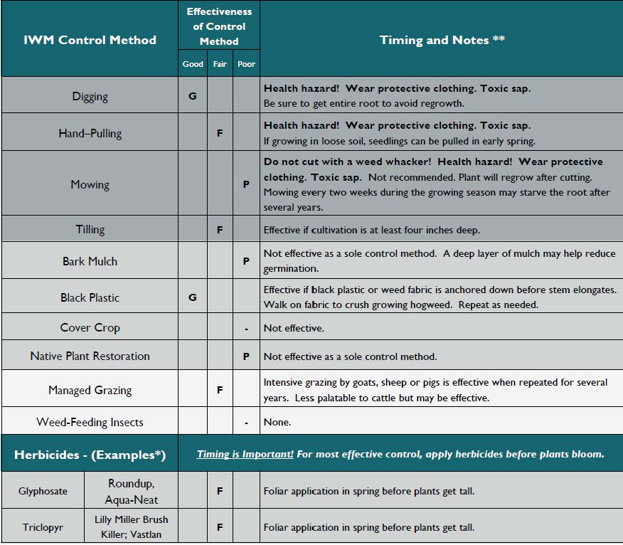 Chart for controlling giant hogweed