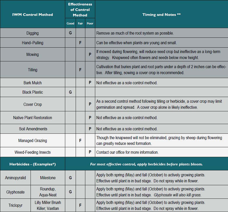 Chart for controlling meadow knapweed