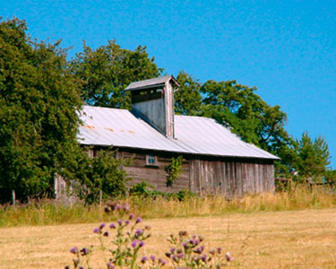 Arndt Prune Dryer