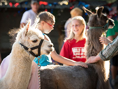 Clark County Fair