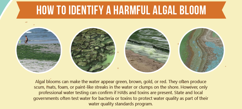 How to identify HABs - EPA 