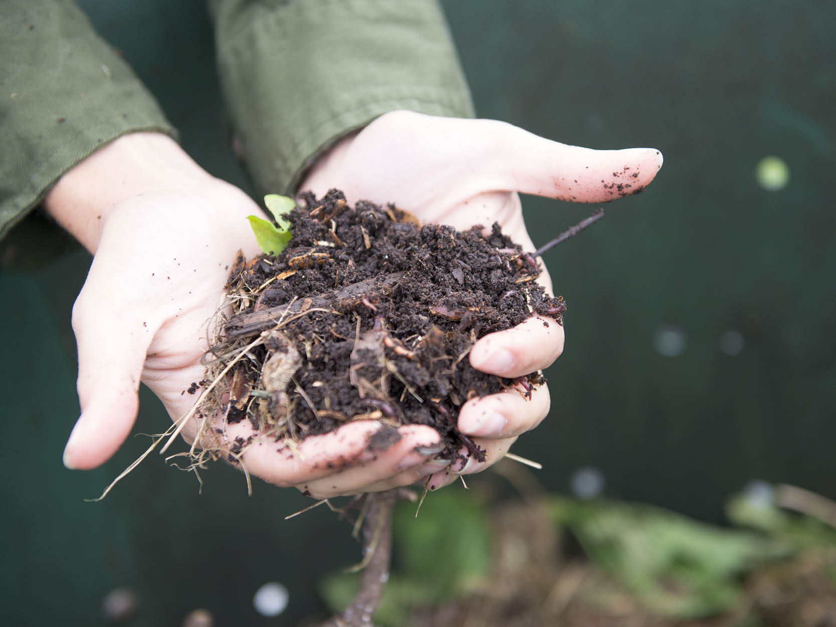 Two hands holding compost material over a compost bin