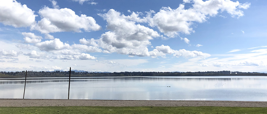 Vancouver Lake shoreline