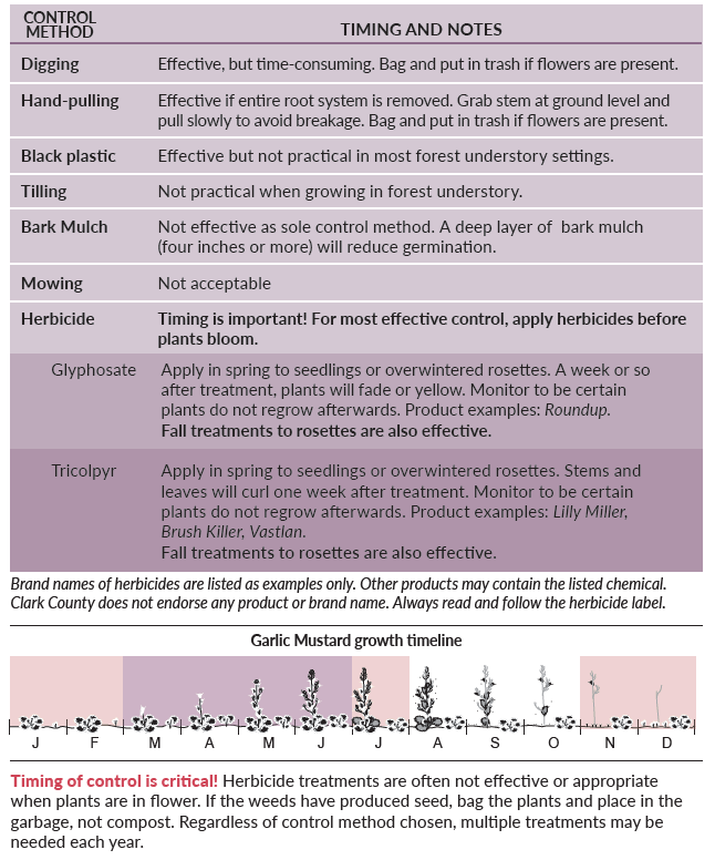 Garlic mustard control recommendations