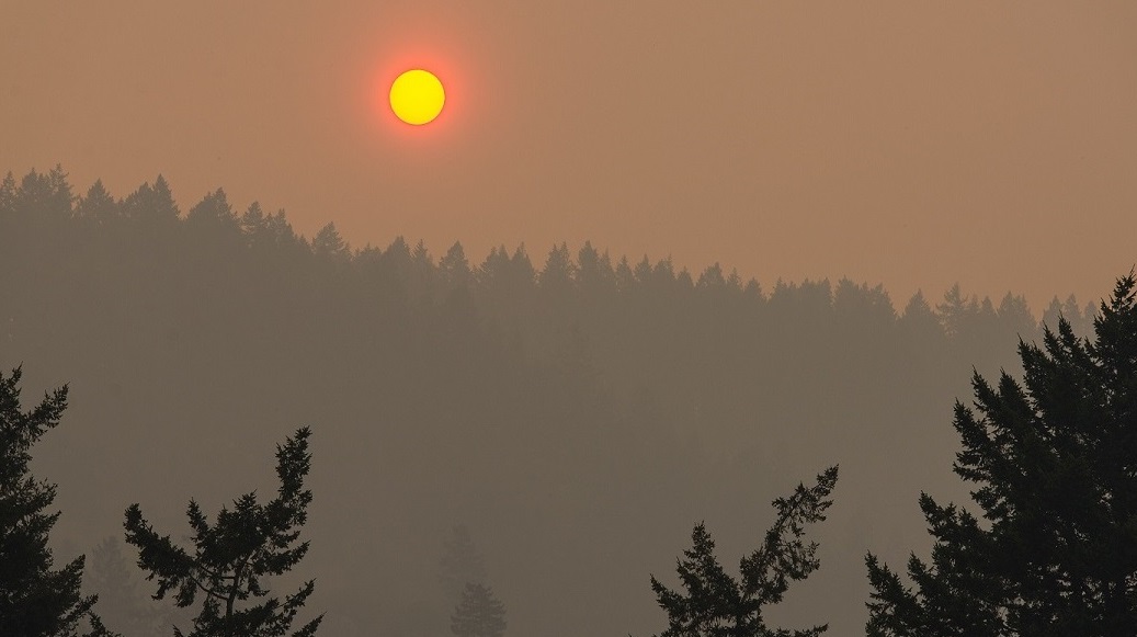 Wildfire smoke hazy sky