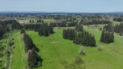 HOCKINSON DISC GOLF