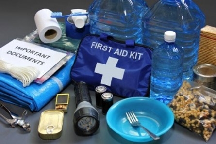 Emergency preparedness kit