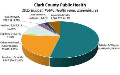 Pie chart showing the expense budget for the Public Health fund.