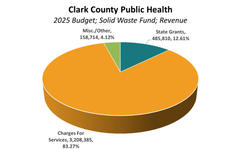 PH Budget 4014 Revenue