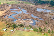 Aerial view of pools of water surrounded by islands of dirt and leafless deciduous trees, with grassy fields, some evergreen trees and a couple of buildings in the foreground.