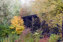 Black railroad bridge from the side, surrounded by foliage including moss and lichen-covered trees and trees turning yellow, red, brown. It is foggy in the background.