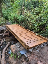 A small footbridge spans a creek in a forested area. The wood looks new and fresh. Exposed tree roots reach towards the stream. The foliage in the background is green.