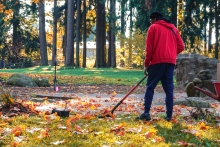 A person standing with their back to the camera on a grassy area among fallen leaves holds a shovel next to small potted plants. A stand of trees is in the background, and sunlight filters through the shade throughout the scene.