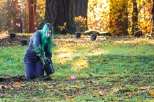 A person with long turquoise hair kneels in a grassy area to plant a small fir tree in a shaded area with shafts of sunlight filtering through autumn colored leaves.